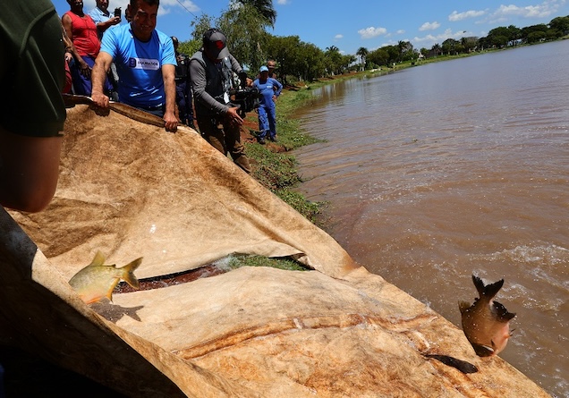Marçal participou da soltura de peixes no lago