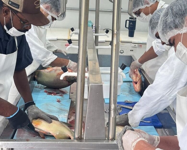 Peixes são preparados com equipe da UFGD para a Festa