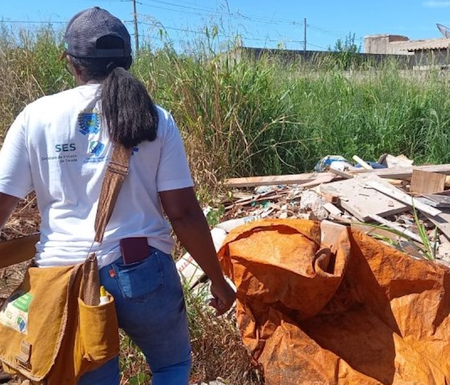 Reforçar limpeza de quintais continua sendo alerta principal