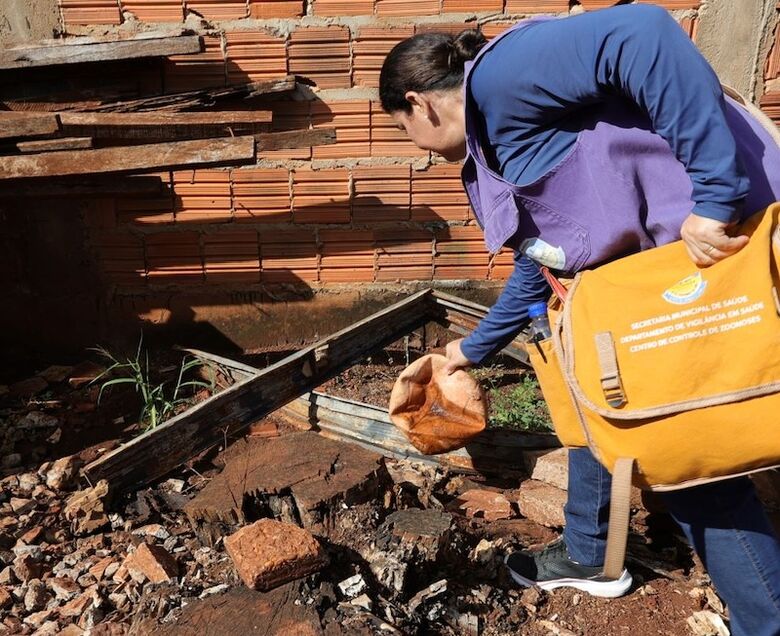 Agente de epidemias, sem luvas, recolhe lixo em quintal