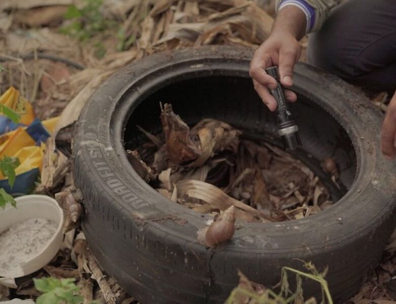 Agente procura foco do mosquito em área infestada