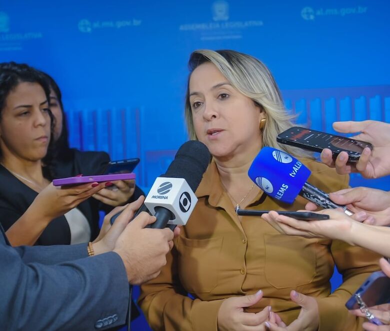 Lia defende urgência no enfrentamento à chikungunya