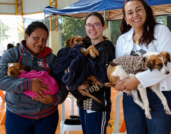 Utilidade Pública reconhece ações de proteção aos animais