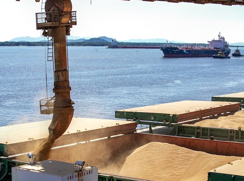 Mercado exportador do Estado se consolida 
