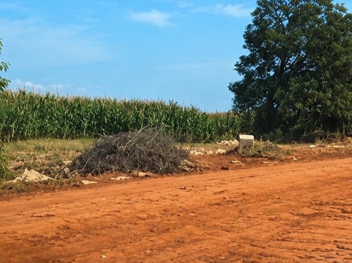 Zé Teixeira pede melhorias para a Estrada do Panambi