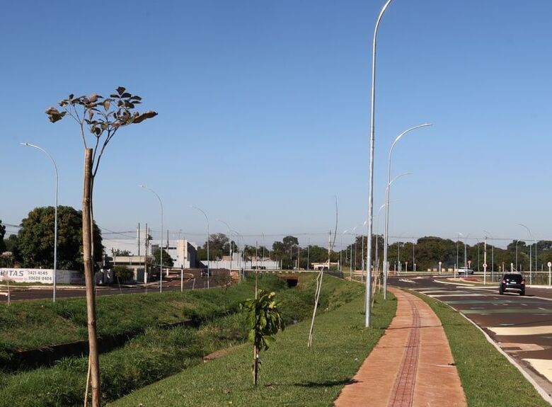 Projeto de paisagismo prepara nova cor para avenida