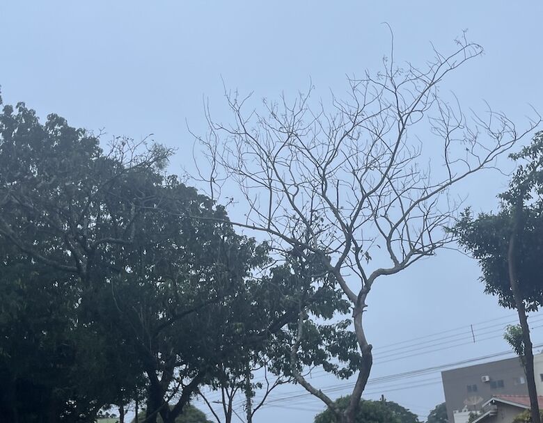 Final de semana começa com os sintomas do inverno