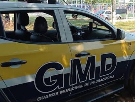 Ação rápida da Guarda impede furto do patrimônio municipal