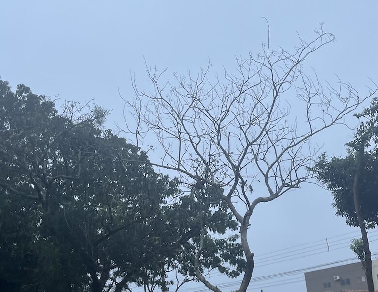 Clima de começo de agosto recomenda alerta sanitário