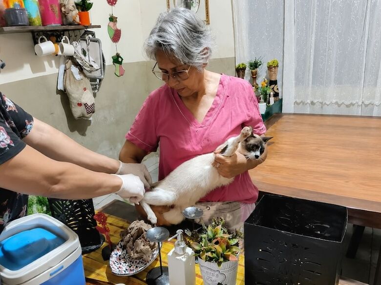 Tutora leva gato de estimação para ser vacinado 
