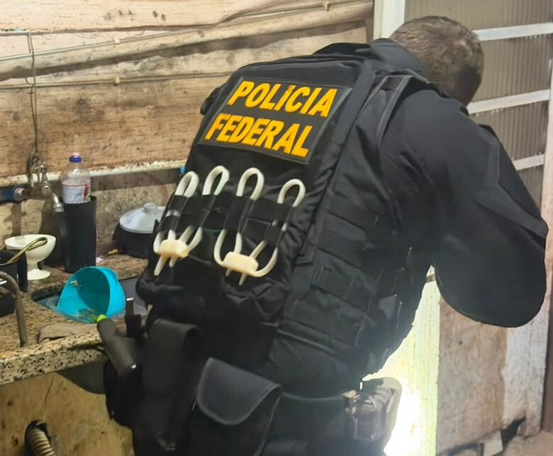 Policial busca armamentos ocultos em residência